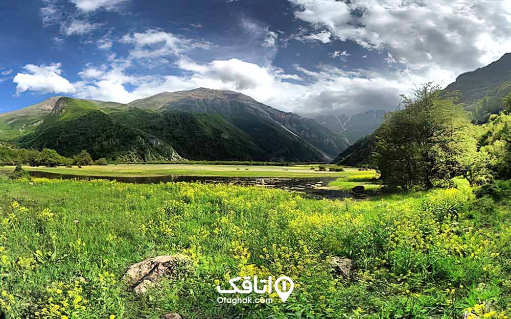 منطقه ای سر سبز با کوه و درختان و برکه