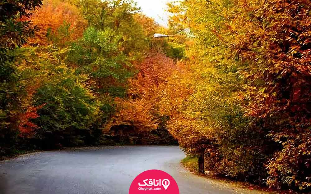 جاده ای که دو طرف آن درختان با برگ های رنگا رنگ پاییزی هستند