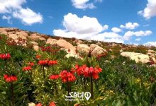 جاهای دیدنی بویین میاندشت