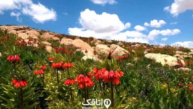 جاهای دیدنی بویین میاندشت