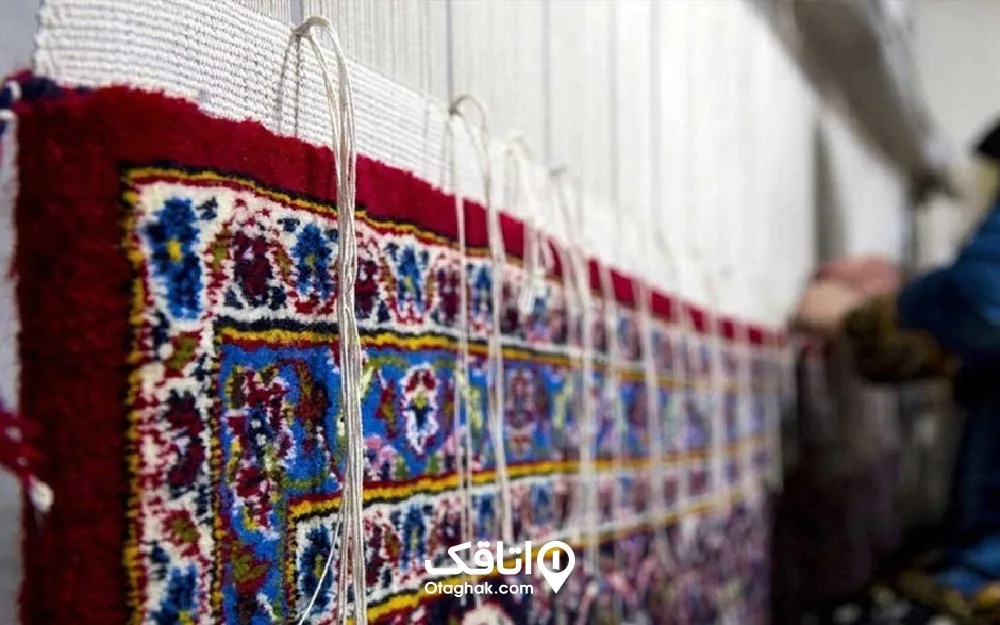 قالی در حال ریشه زنی 