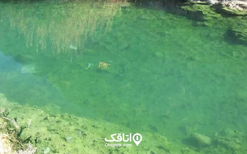 چشمه ترش حارث آباد