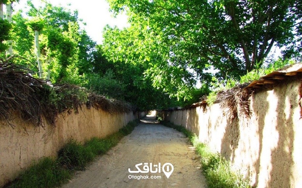 کوچه باغی با دیوار های گلی در روستای کلهرود که درختان سبز رنگ از انها بیرون زده اند 