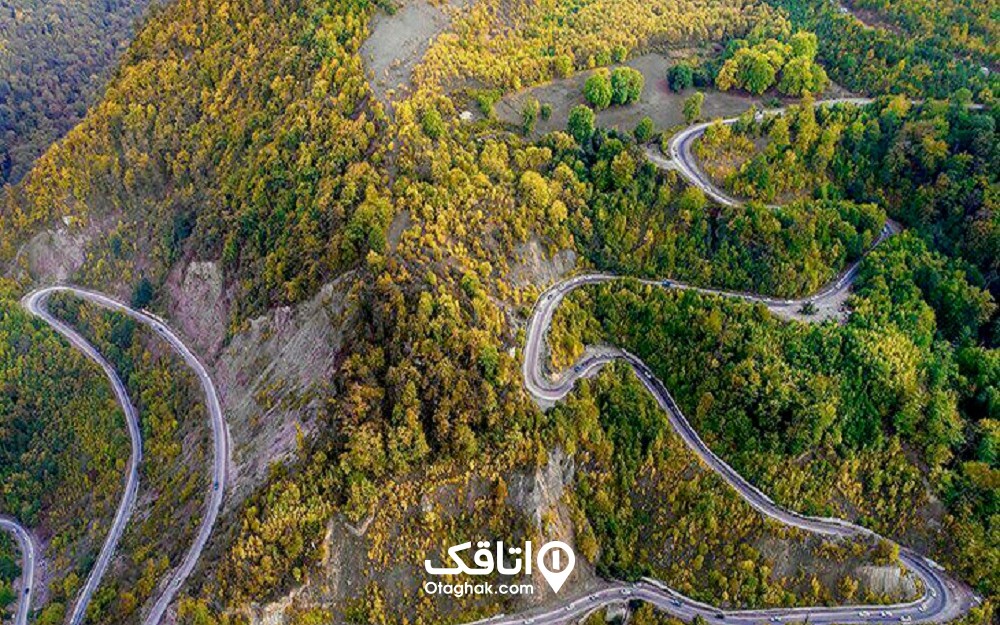 جنگل توسکستان گرگان از نمای بالا