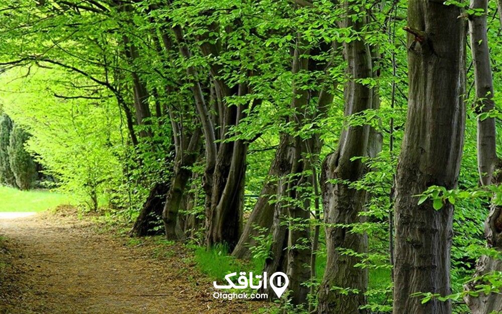 ییلاق توسکا چشمه