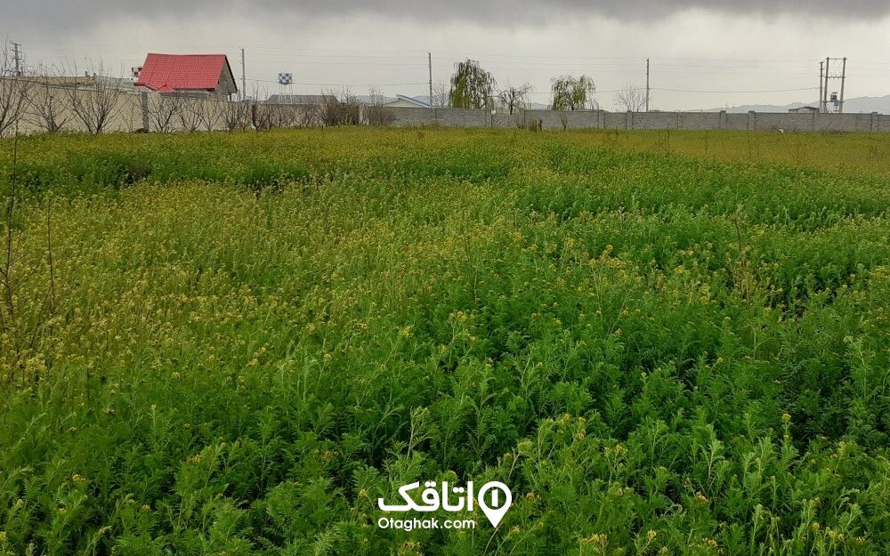 روستای اغلان تپه