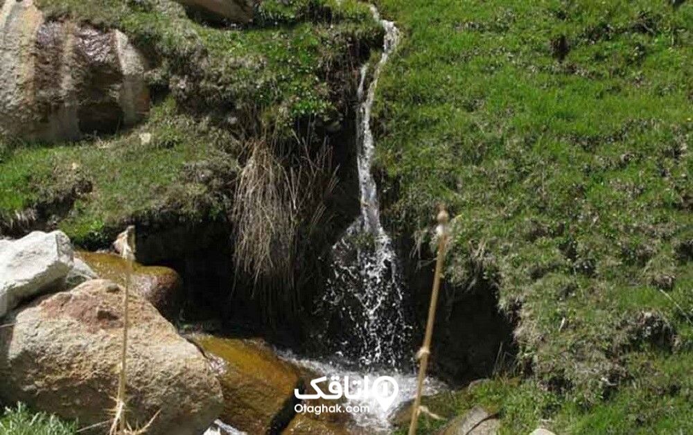 تفرجگاه چشمه احمدآباد