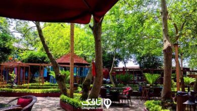 بهترین رستوران های نمک آبرود