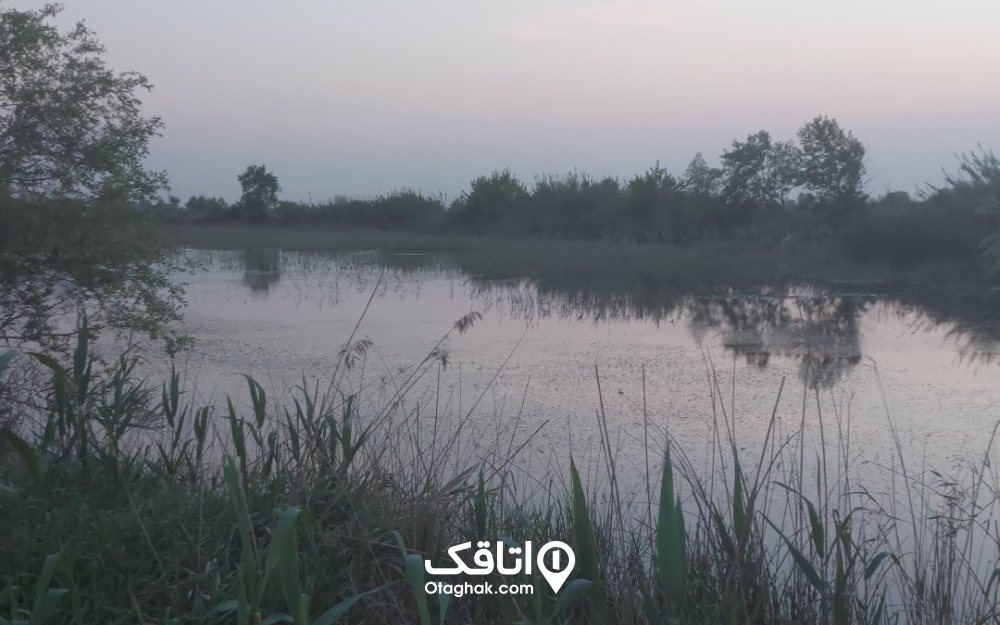 آب بندان سرخ‌رود