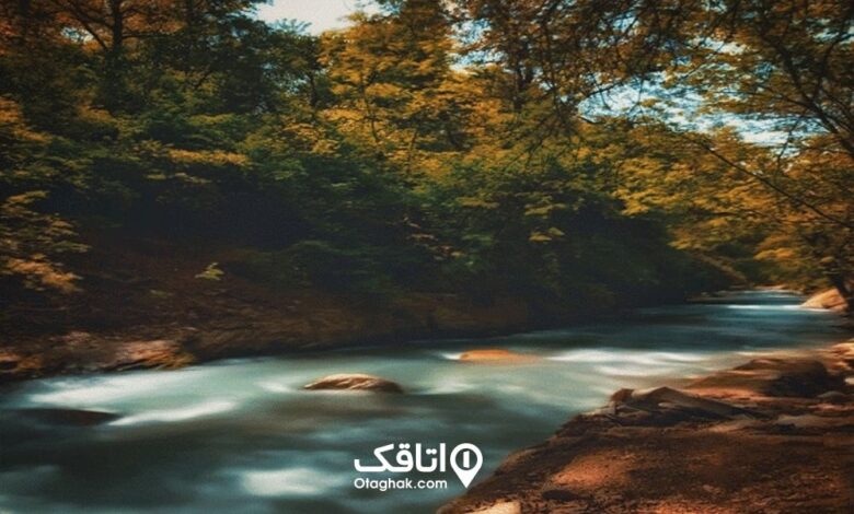 جادهای زیبا در دل جنگل