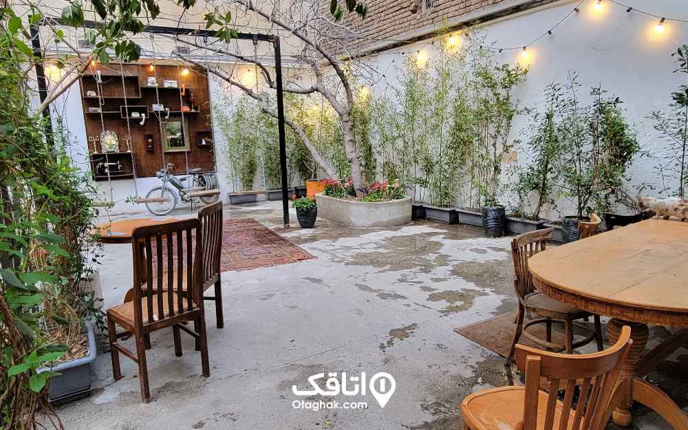 کافه باکارا عکس از وحید طاهری 
