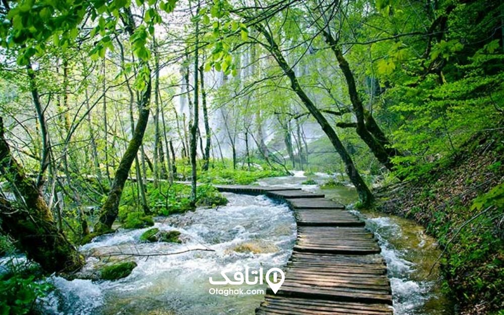 پارک جنگلی النگدره