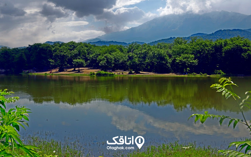 جنگل دریاچه عروس یا حلیمه جان