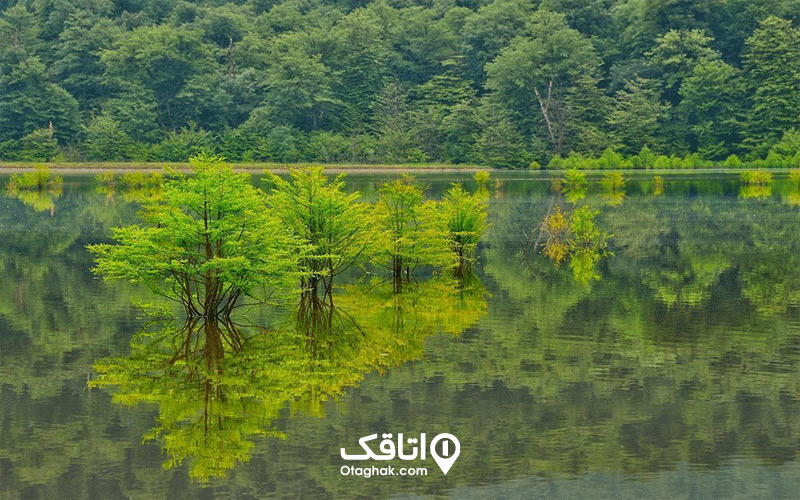 دریاچه‌گردی در مازندران