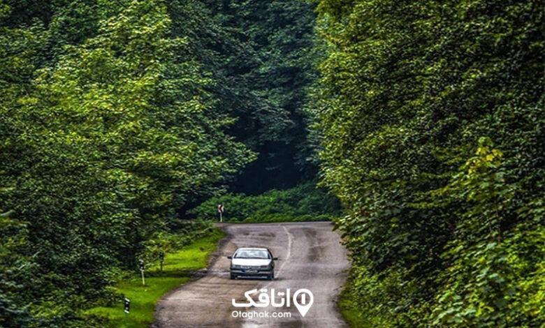سیاهکل کجاست خطهای سرسبز و دیدنی در استان گیلان