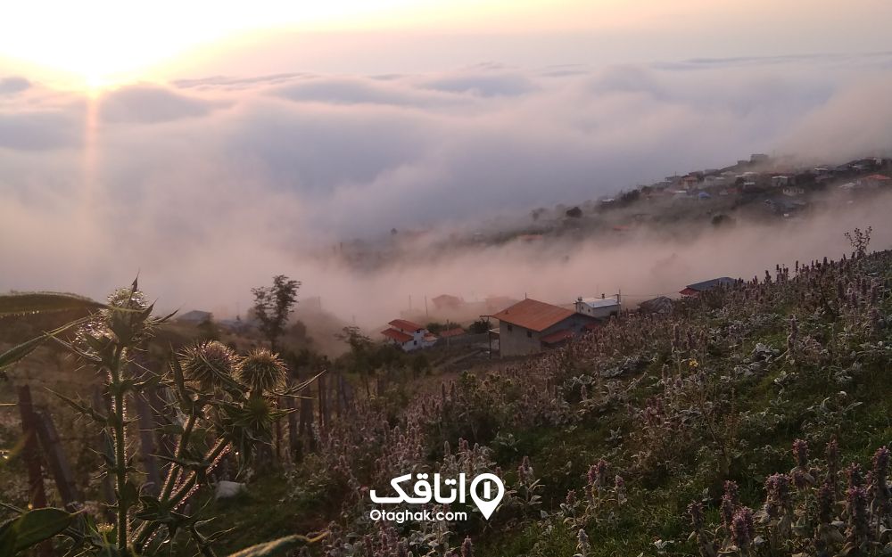 ییلاق بهشتی جواهردشت پوشیده از مه