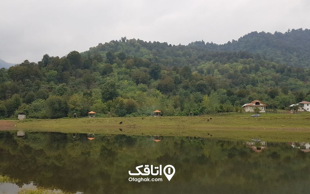 دریاچه و جنگل در روستای تنیان از دیگر جاهای دیدنی استان گیلان