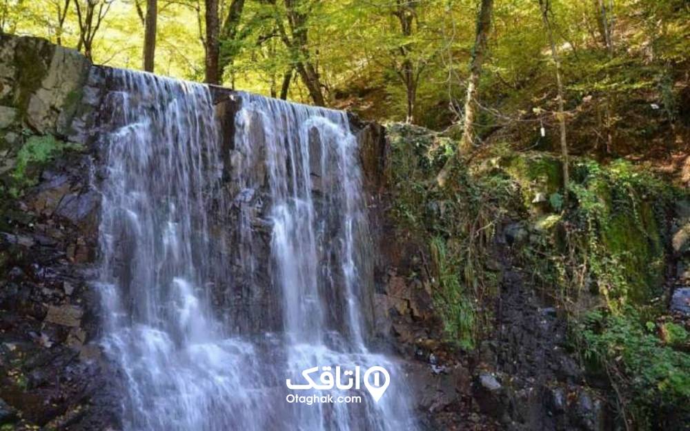 آبشار جذاب لونک و درختان بلند جنگلی