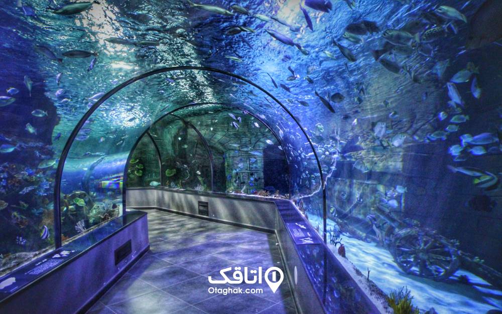 تونل آکواریوم انزلی