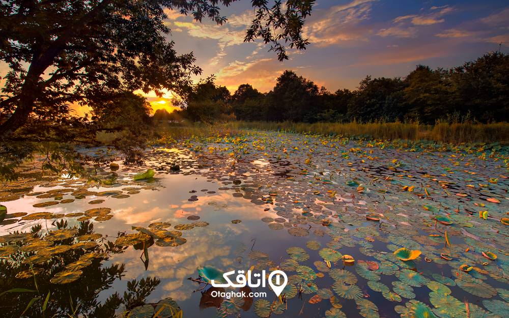 تالاب سوستان هنگام غروب