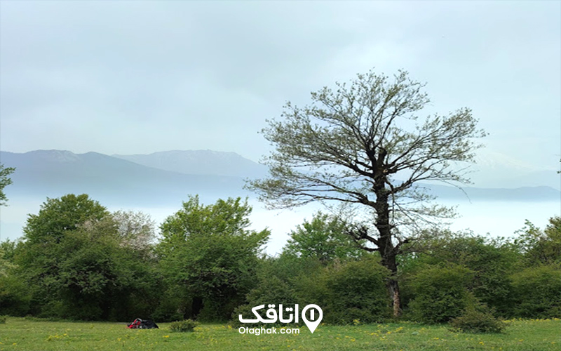 جاذبههای دیدنی اطراف جنگل الیمستان