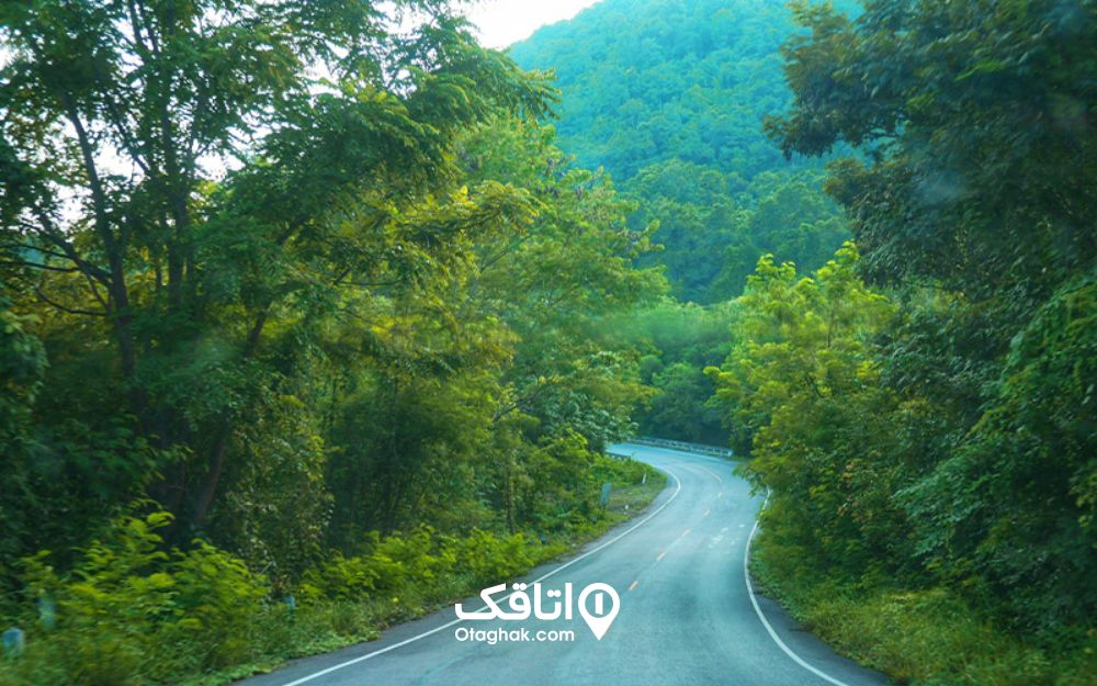 جاده زیبای جنگل توسکستان