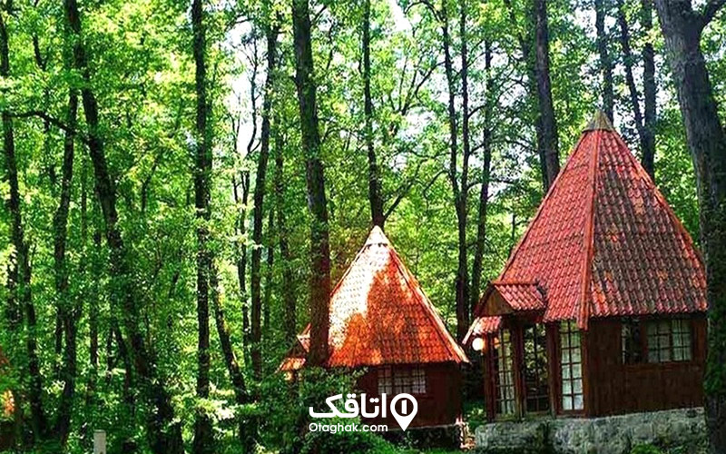 جنگل خشکه داران تنکابن