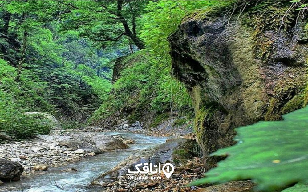 آبشار و رودخانه در جنگل شصت کلا