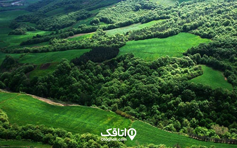 جنگل های هیرکانی کجاست