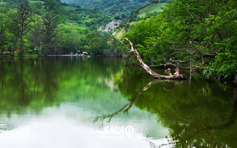 دریاچه شورمست دریاچه شورمست