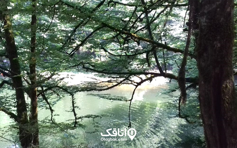 دریاچه فراخین کجاست