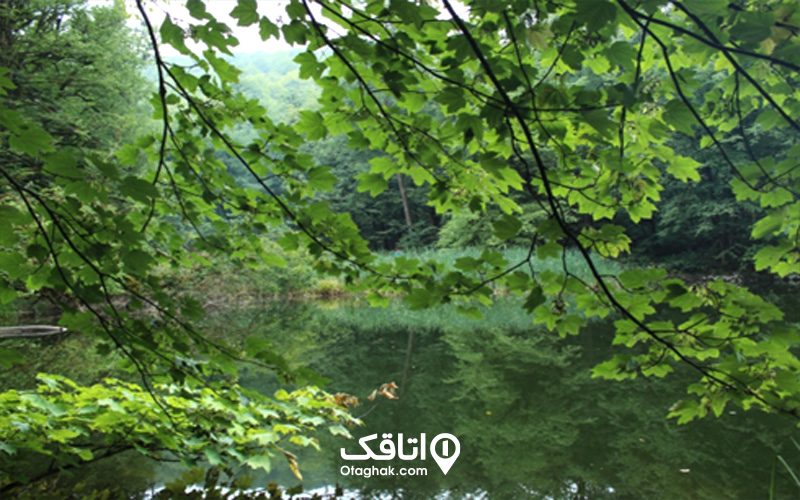 دریاچه فراخین