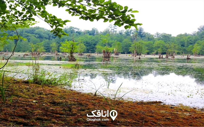 دریاچه ممرز