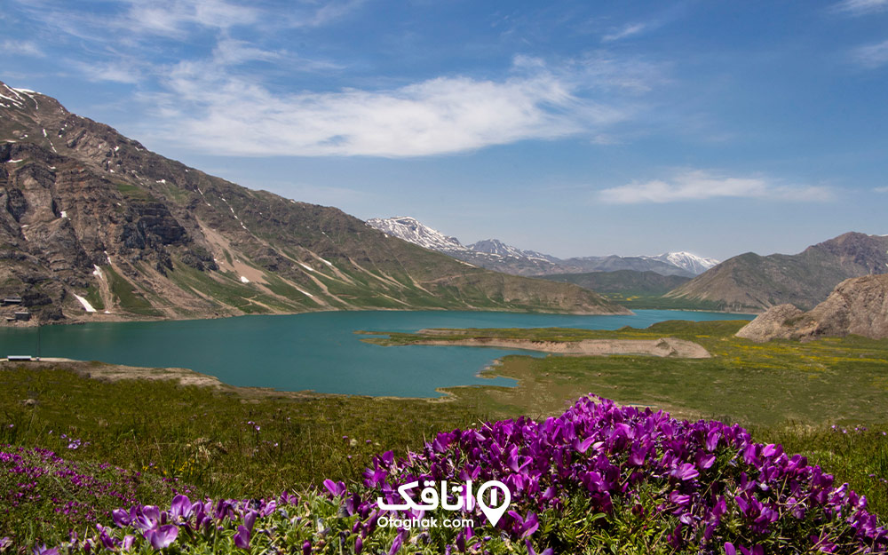 نمایی از دشت لار، کوه دماوند و گلهای بهاری
