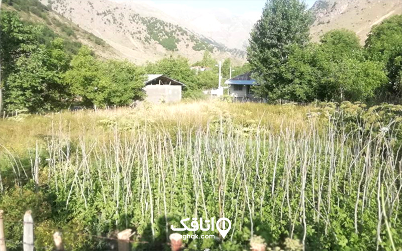 روستای دلیر