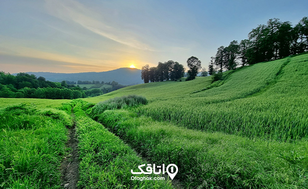 سفر به ساری در تابستان
