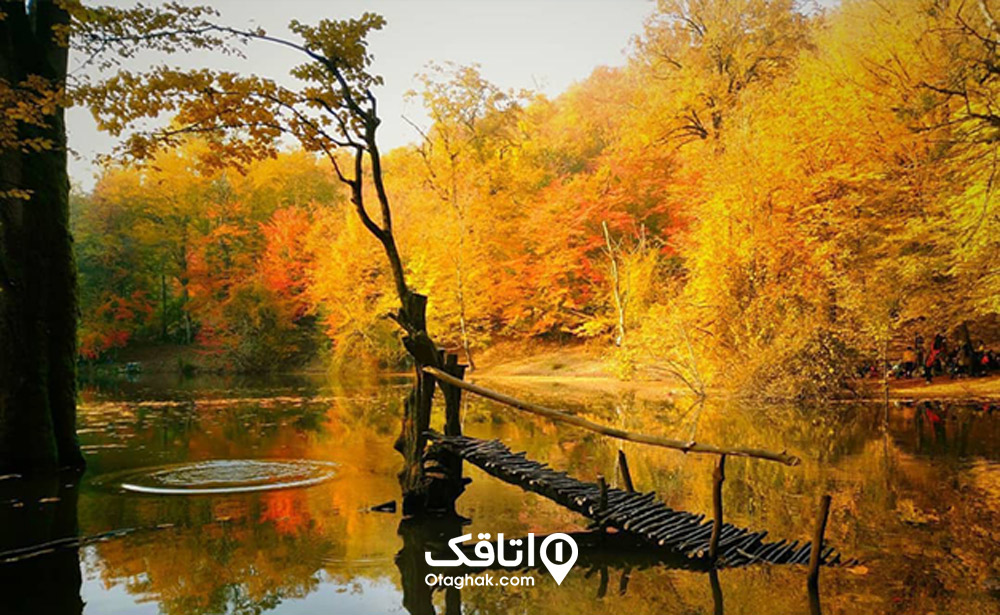 سفر به ساری در پاییز