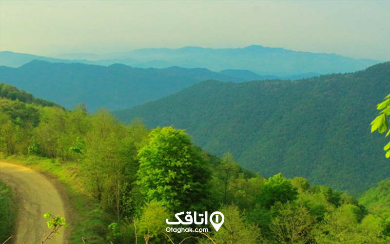 مسیر دسترسی به جنگل های هیرکانی