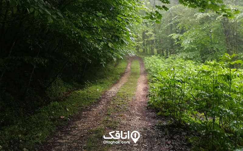 مسیر دسترسی به دریاچه فراخین
