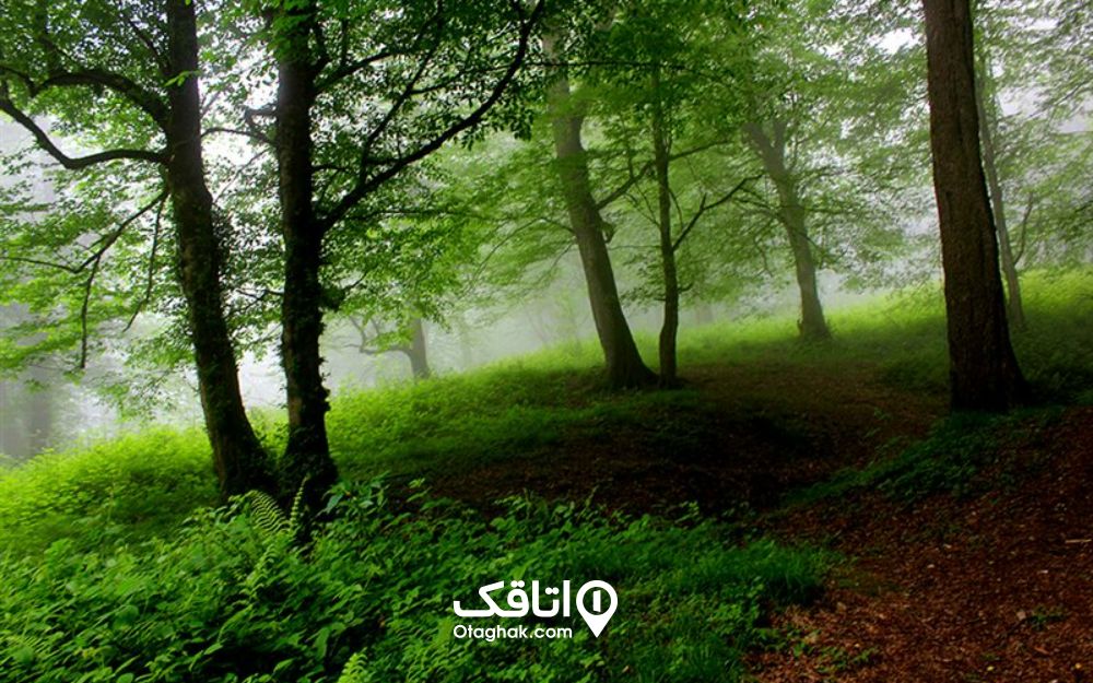 پارک جنگلی سیسنگان