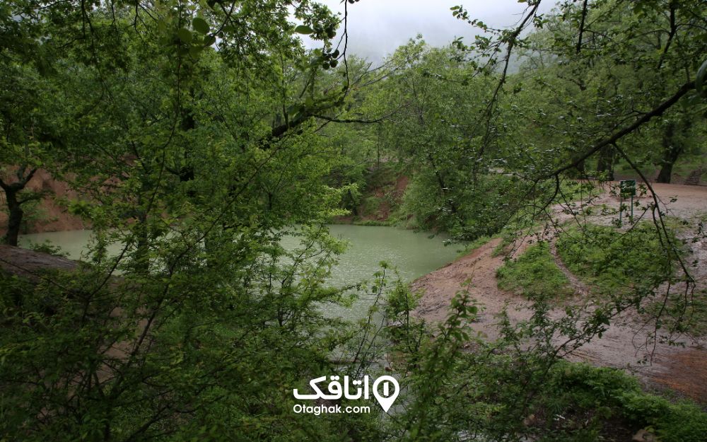 چشمه گل رامیان با رنگ سبز