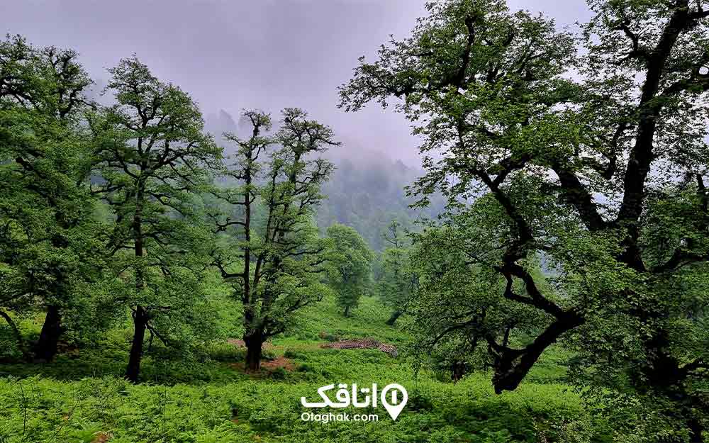 ییلاق اولسبلانگاه از جاهای خنک ایران در تابستان