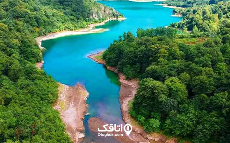 جنگل دالخانی رامسر همراه با بهترین زمان سفر، آدرس و تصاویر جذاب از جنگل