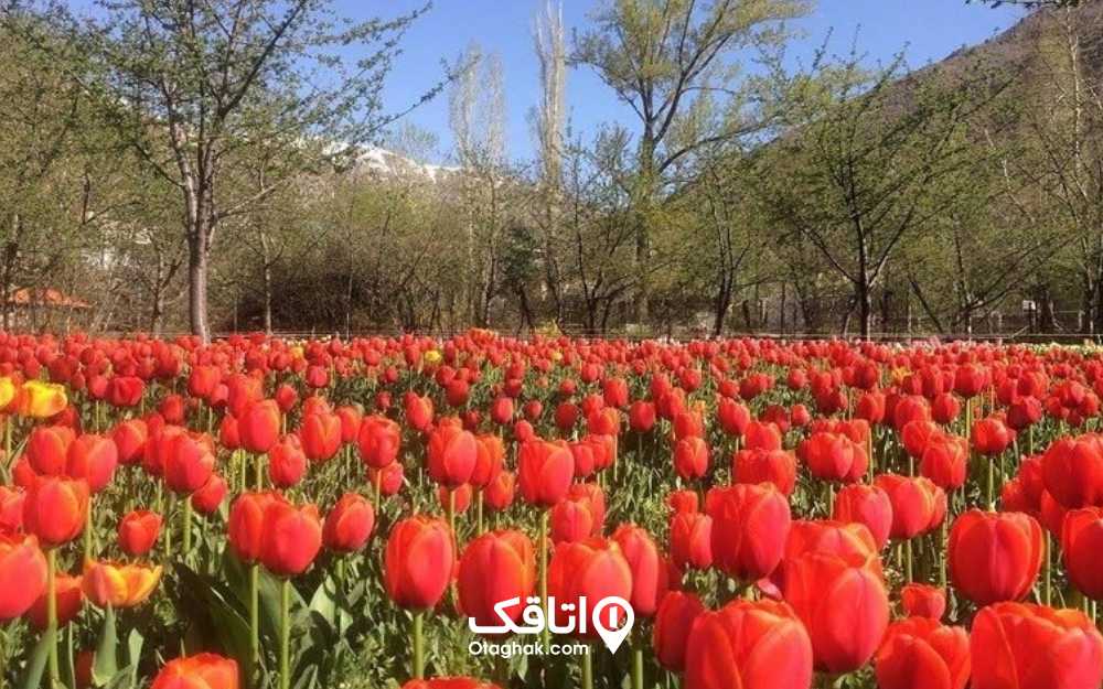 جاهای دیدنی اطراف تهران باغ لاله 
