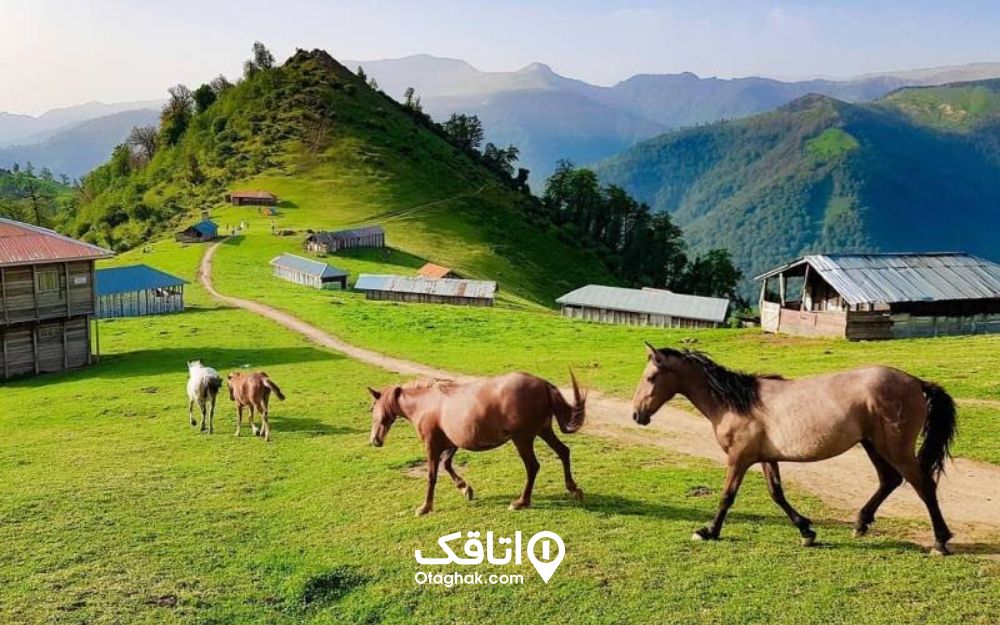 جاهای دیدنی ماسال در تابستان