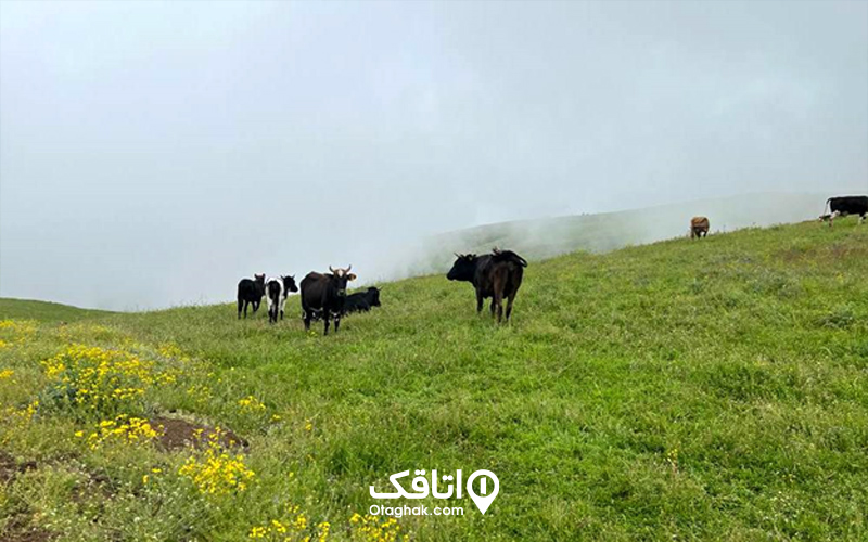 روستاهای سوباتان