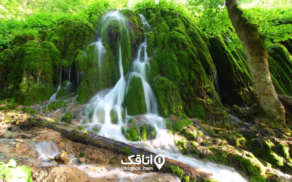 تصویری زیبا از آبشار خزهای بولا تصویری زیبا از آبشار خزهای بولا