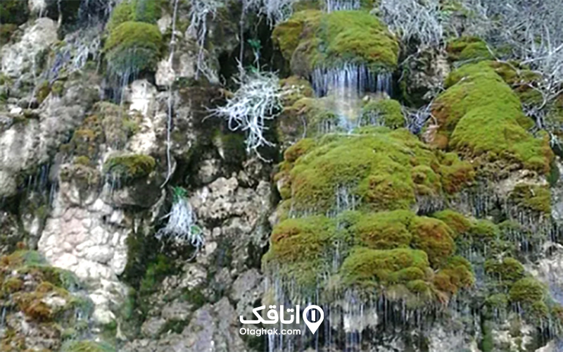 آبشار ونوش