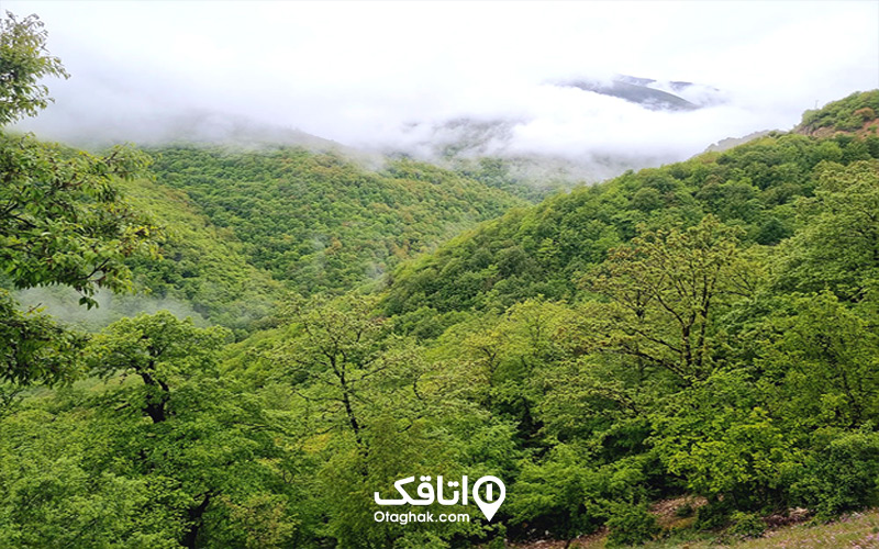 آبوهوای آبشار آب پری