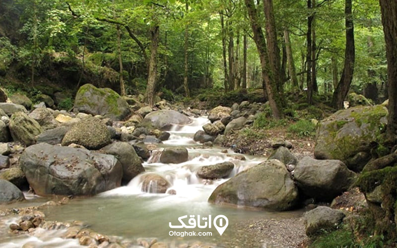 اقامت در اطراف دریاچه قو
